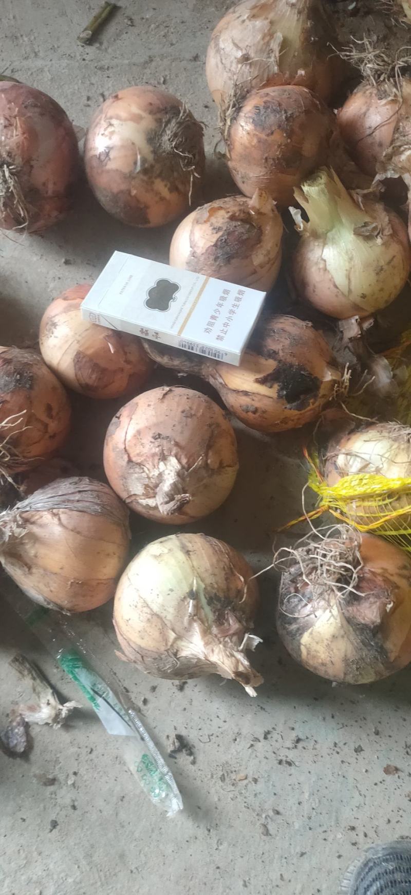 黄洋葱，精品黄葱大量供应，供应市场，电商，工厂