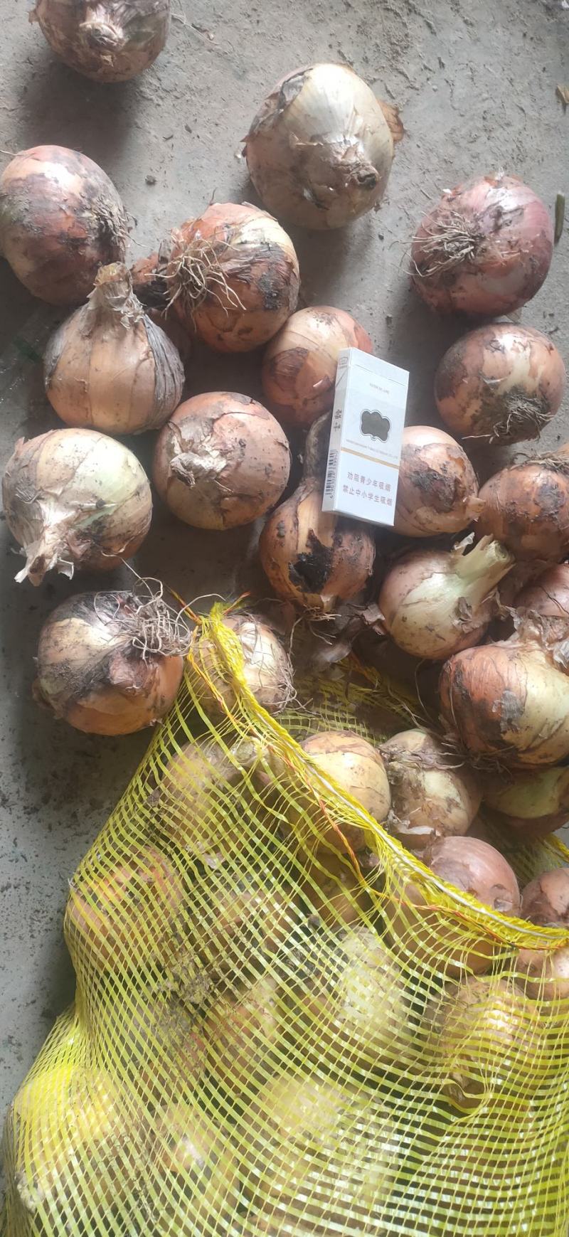 黄洋葱，精品黄葱大量供应，供应市场，电商，工厂
