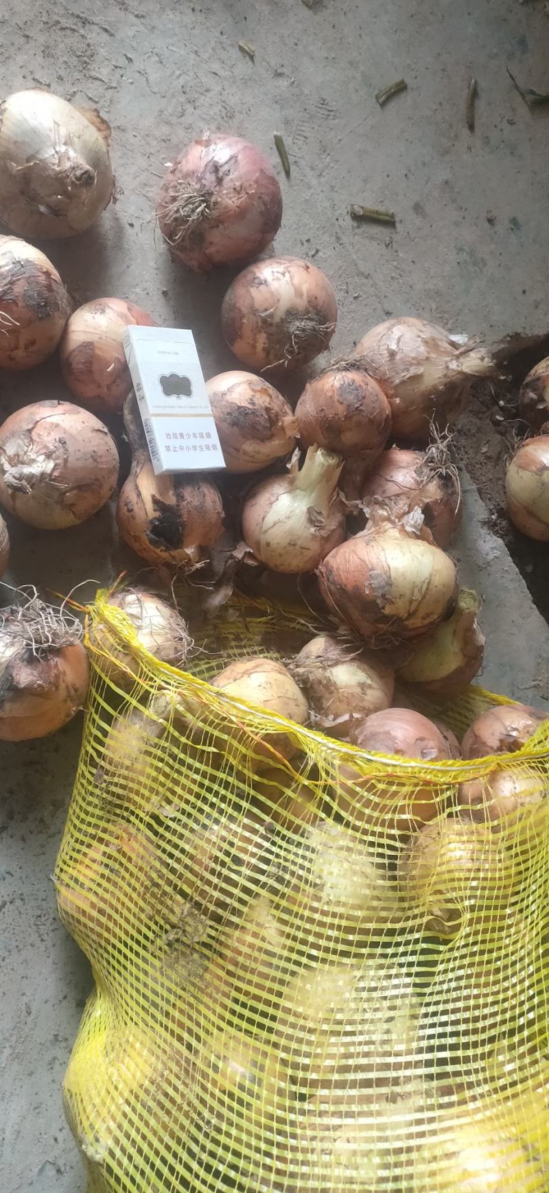 黄洋葱，精品黄葱大量供应，供应市场，电商，工厂