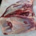 蒙古马肉