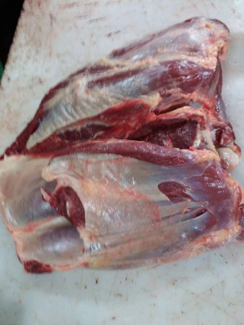 蒙古马肉