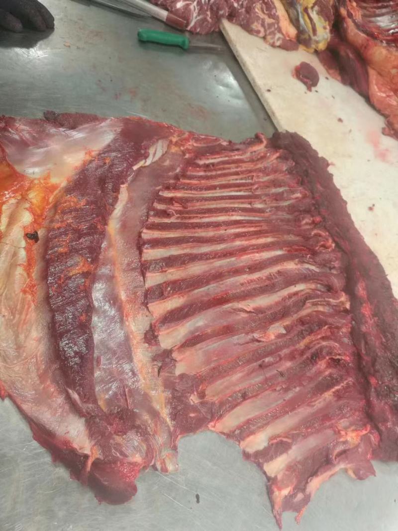 蒙古马肉