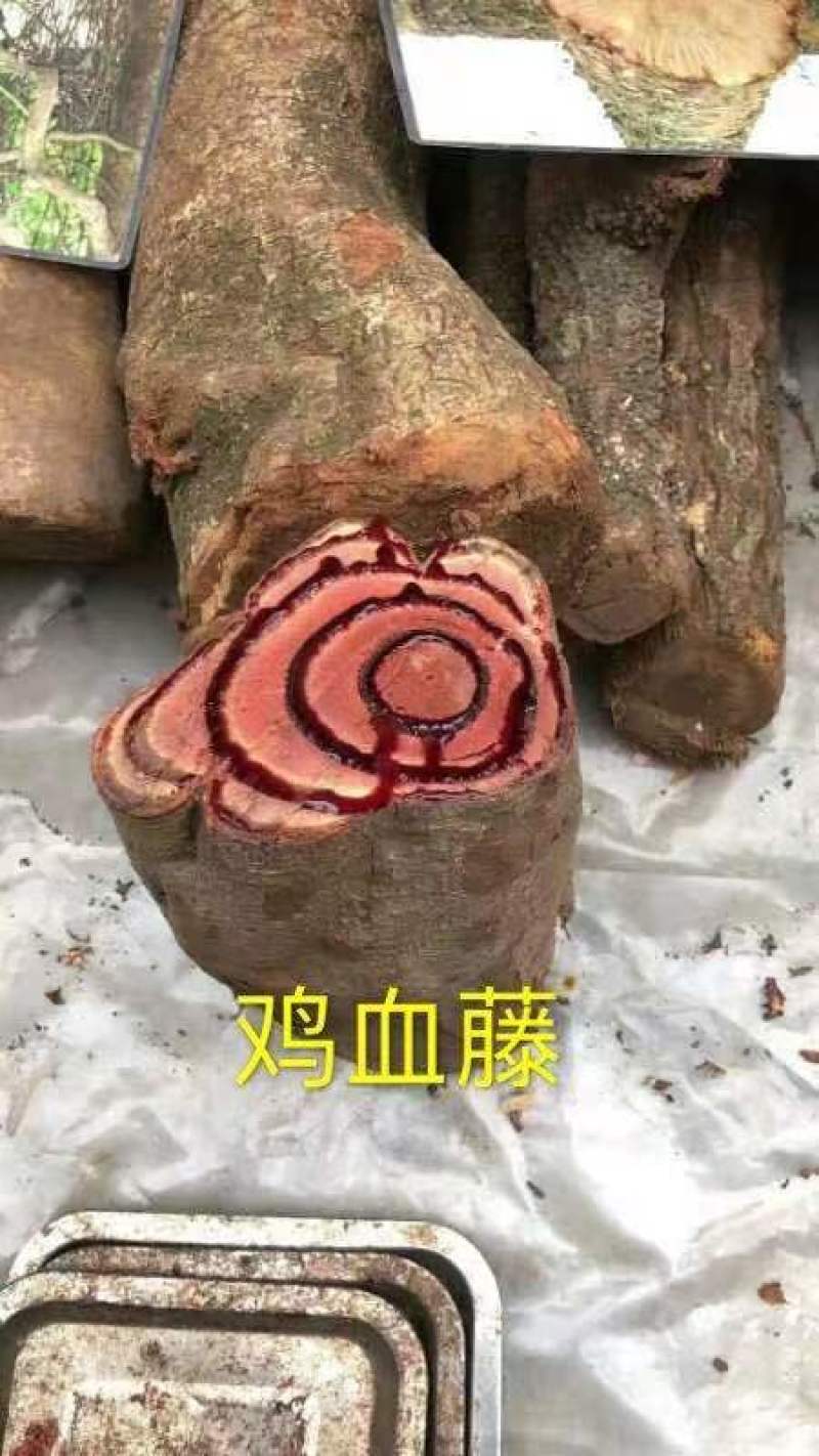 跑江湖地摊根子药砍砍药蛇连雪胆金龟莲鸡血藤