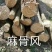 跑江湖地摊根子药砍砍药蛇连雪胆金龟莲鸡血藤