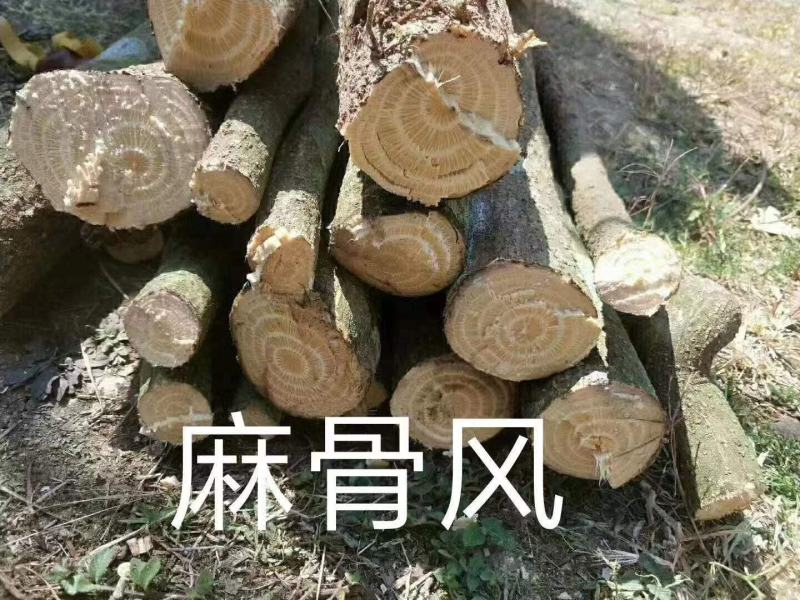 跑江湖地摊根子药砍砍药蛇连雪胆金龟莲鸡血藤