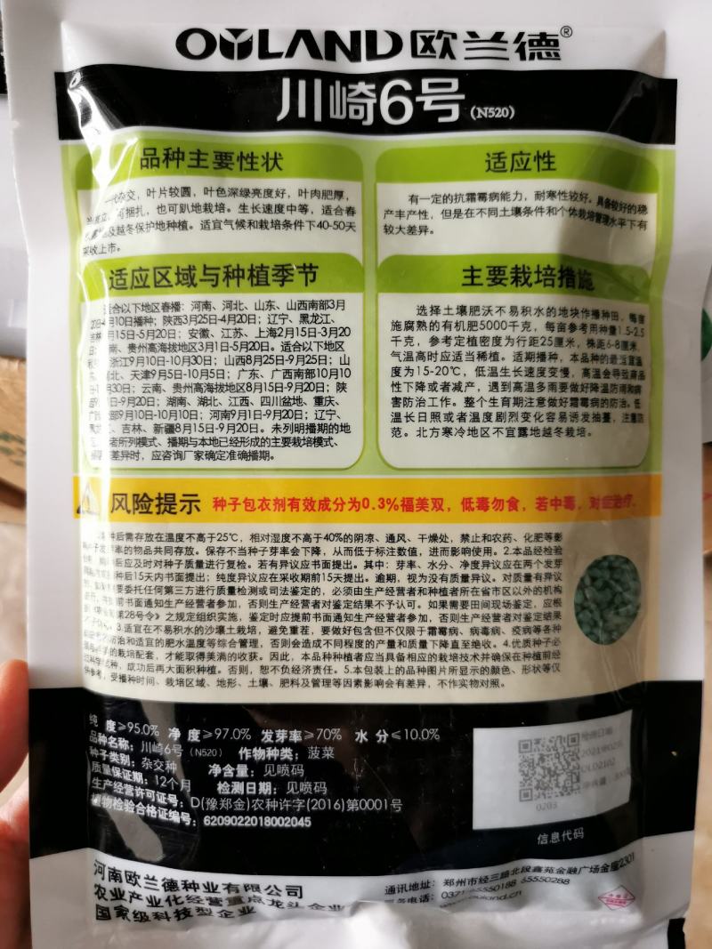 欧兰德菠菜种子黑油亮圆叶菠菜耐热春秋播菠菜种子矮脚菠菜