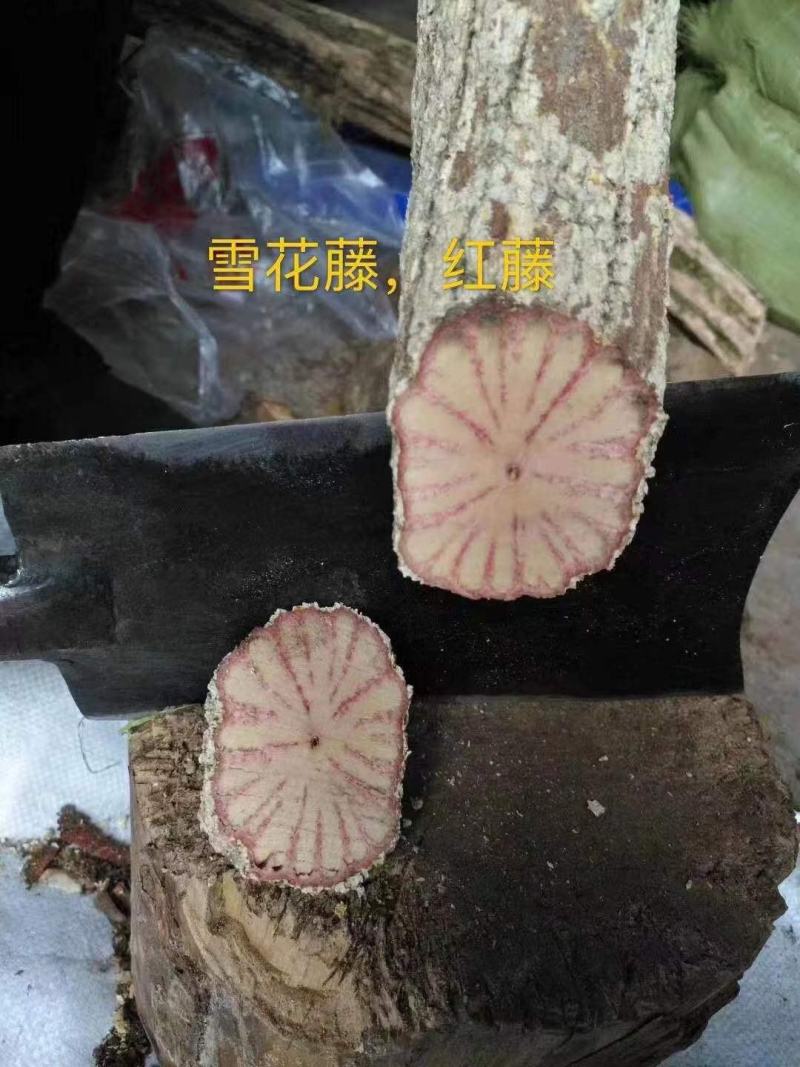 根子药鸡血藤扁担藤雪花藤黑血藤大血藤金刚藤砍砍药新鲜药材