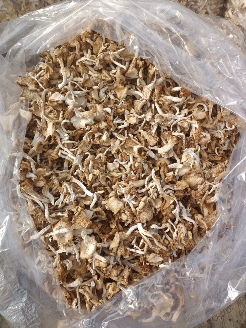 干平菇自家基地种植的平菇都是4到6cm小菇晒干