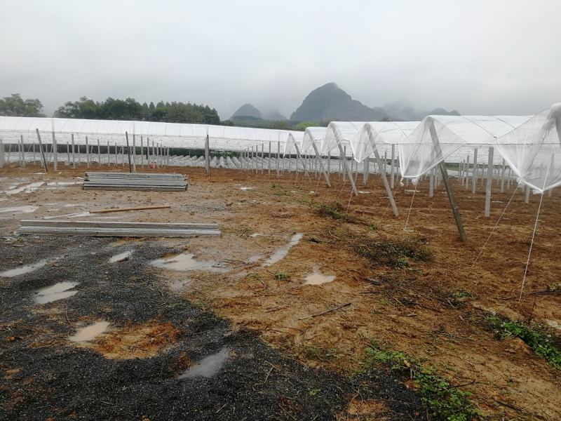 水泥立柱，水泥柱，承接各种水果架安装配件齐全！