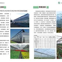 智能温室及养殖大棚，荷兰温室，玻璃温室，薄膜温室蔬菜大棚