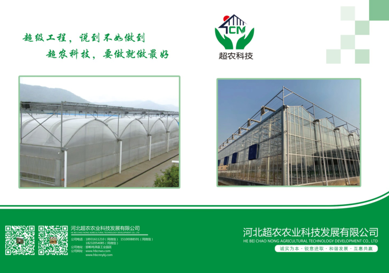 智能温室及养殖大棚，荷兰温室，玻璃温室，薄膜温室蔬菜大棚