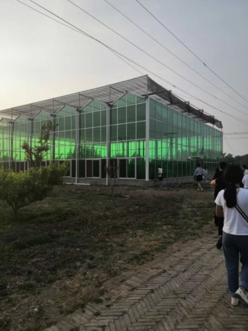 智能温室及养殖大棚，荷兰温室，玻璃温室，薄膜温室蔬菜大棚