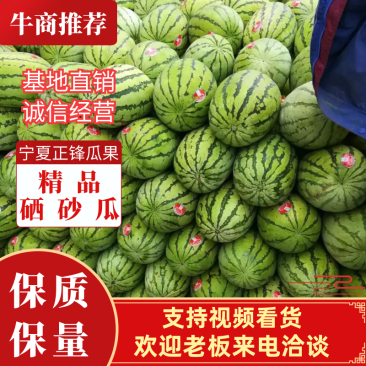 内蒙古沙漠西瓜,内蒙西瓜代办精品西瓜产地
