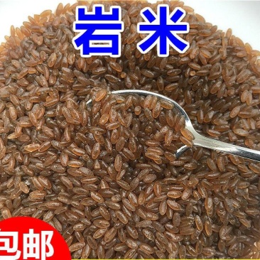 岩米高山岩石缝中的岩米熬粥煮饭岩米五谷杂粮岩米包邮