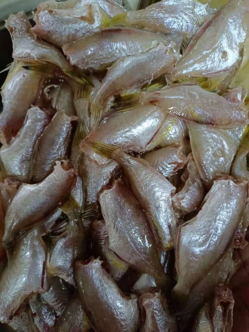 产地直销三去马面鱼（耗子鱼）剥皮仔500g/盒