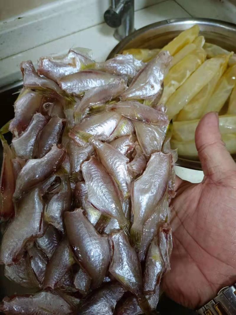 产地直销三去马面鱼（耗子鱼）剥皮仔500g/盒