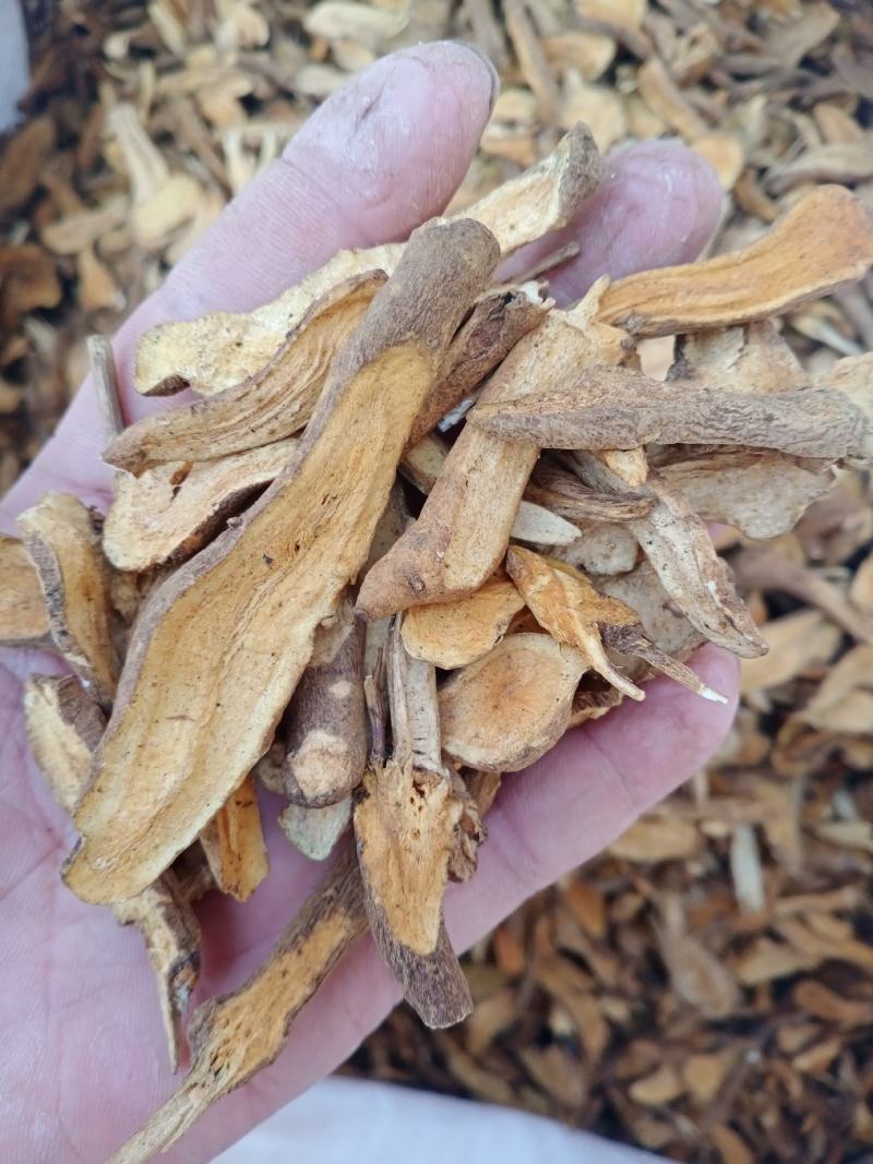 麸炒无硫小白术片一件包邮大货批发量大从优