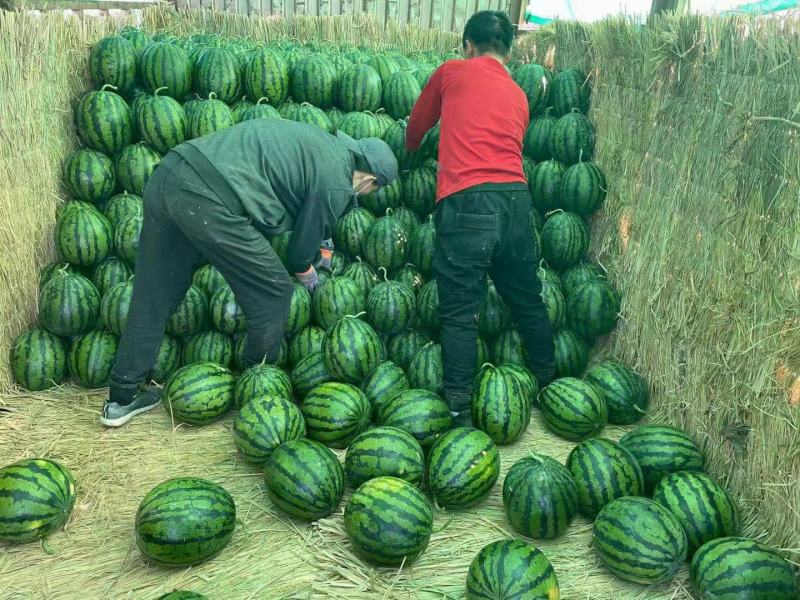 甜王西瓜吉祥果业