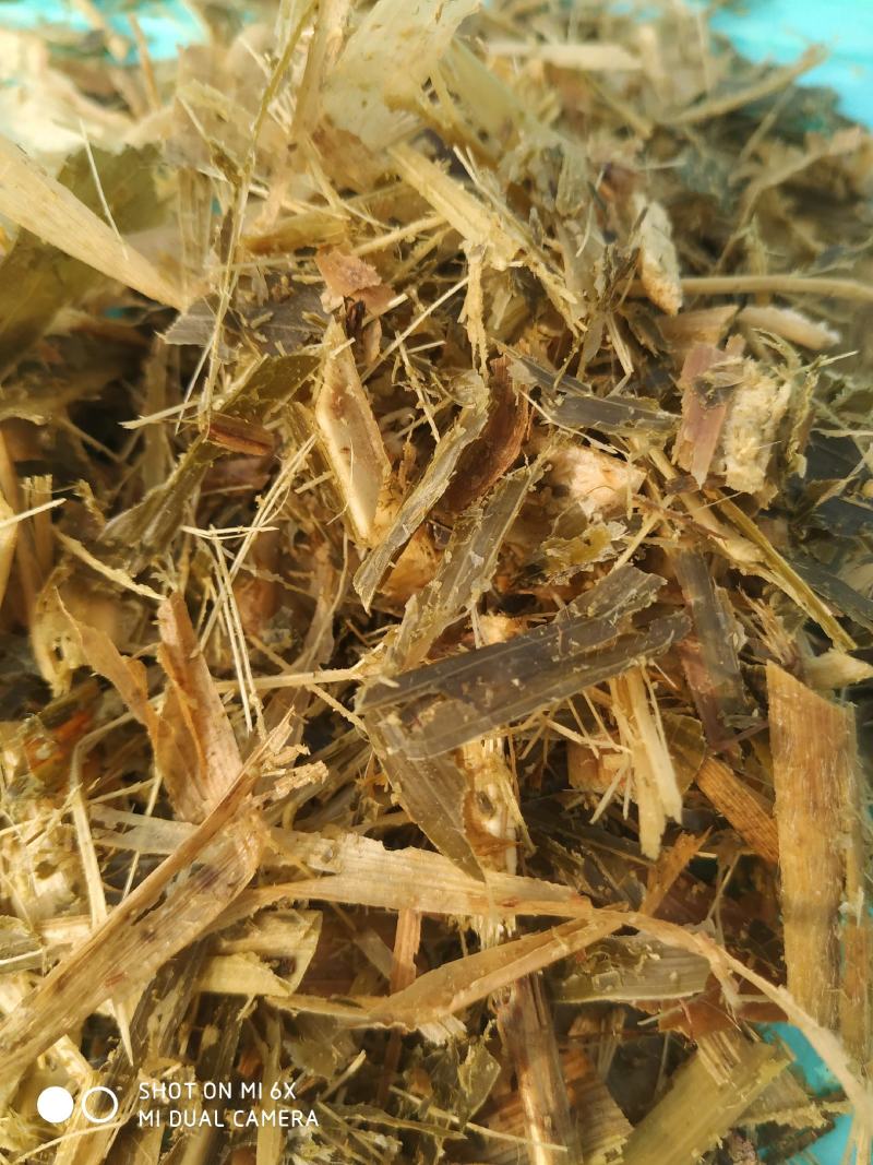 青储黄饲料，牛羊草，一次性直接打包，不带玉米粒