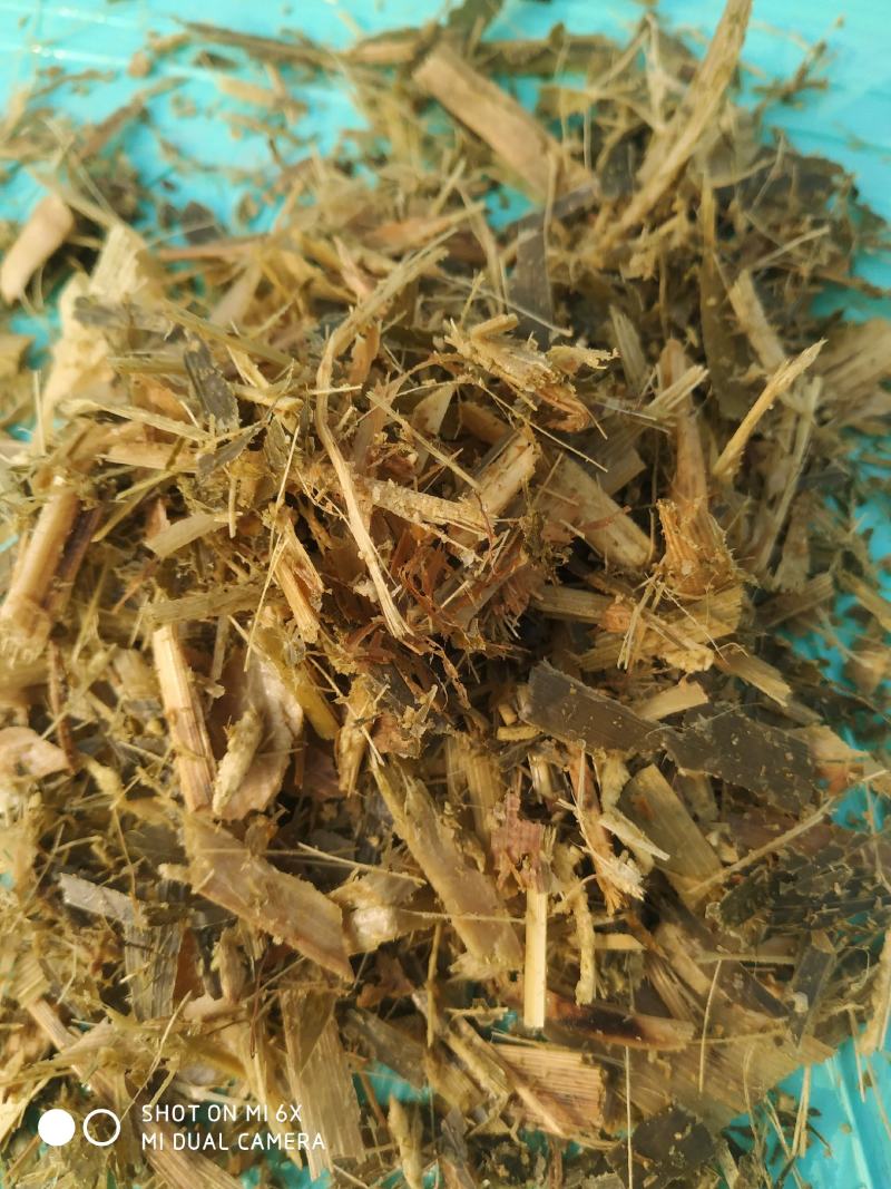 青储黄饲料，牛羊草，一次性直接打包，不带玉米粒