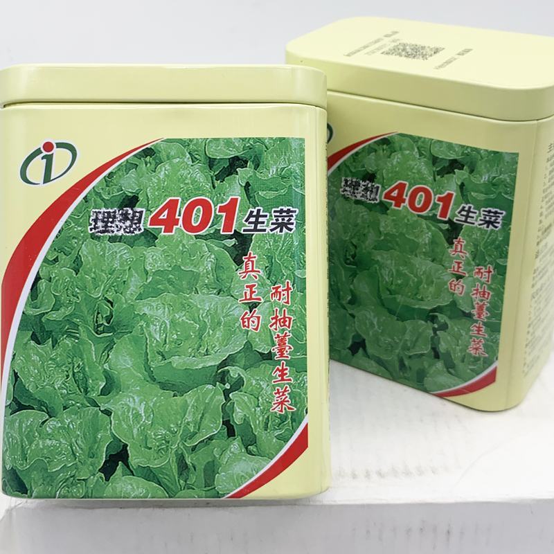 全年耐抽苔生菜种子耐雨抗病生菜种子300克原装