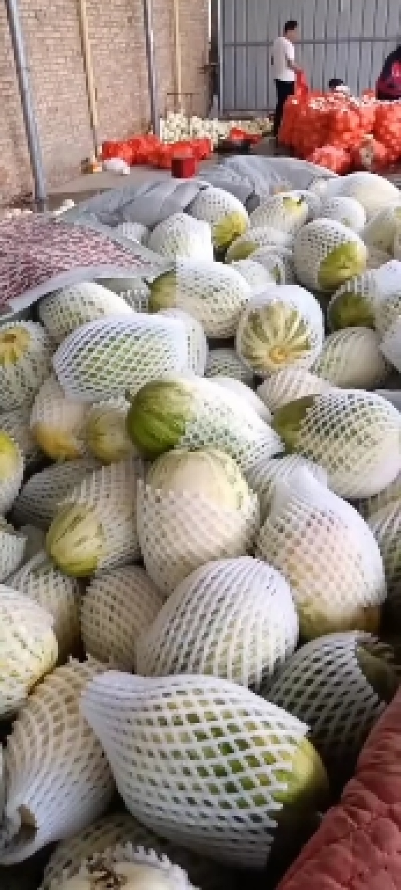 花豹