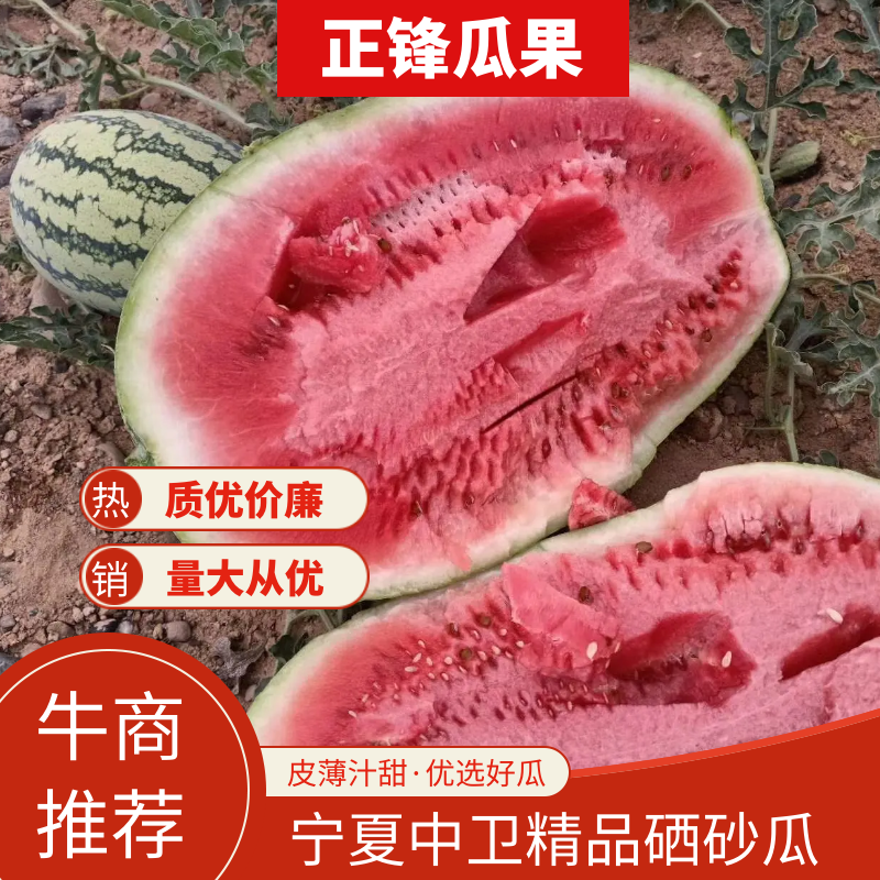 宁夏硒砂瓜【中卫西瓜代办代收代发】石头瓜价格