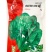 黑圆叶耐寒耐热菠菜种籽春秋越冬红根菠菜种子原袋发货