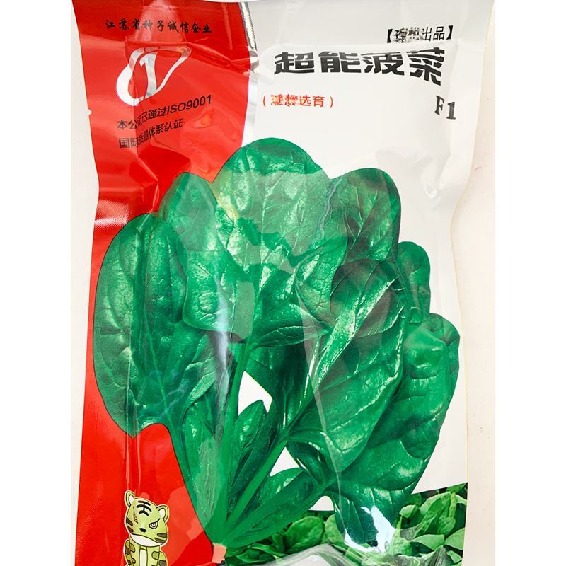 黑圆叶耐寒耐热菠菜种籽春秋越冬红根菠菜种子原袋发货