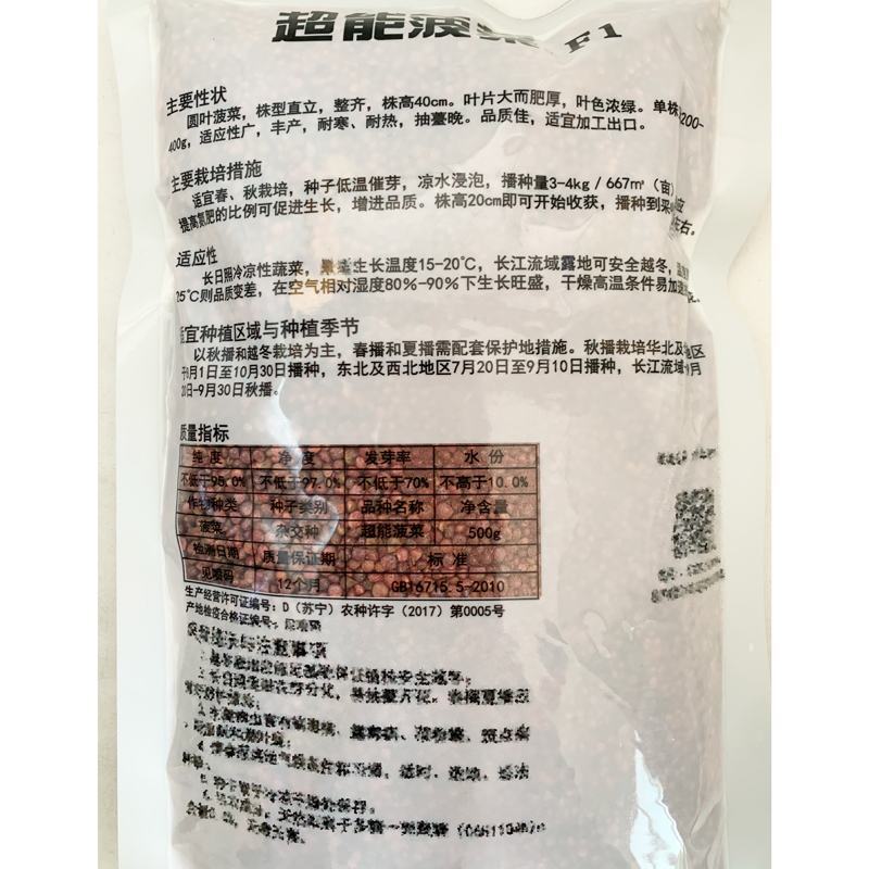 黑圆叶耐寒耐热菠菜种籽春秋越冬红根菠菜种子原袋发货