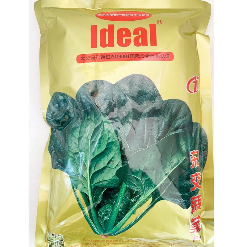 黑圆叶耐寒耐热菠菜种籽春秋越冬红根菠菜种子原袋发货