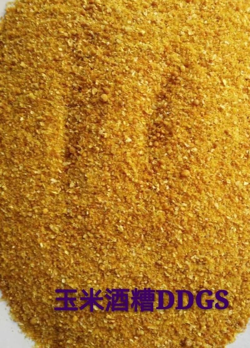 玉米酒糟DDGS，玉米酒糟DDGS，玉米酒糟DDGS，