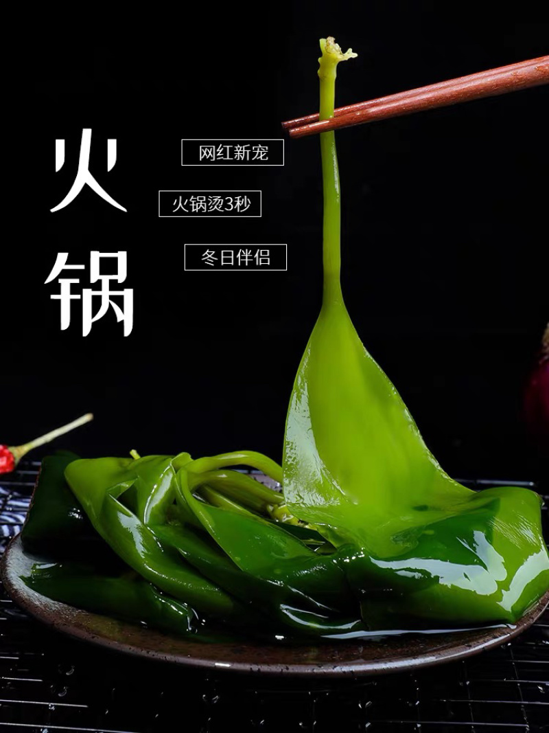 海带之乡霞浦/盐渍海带苗/火锅必备/可定制规格