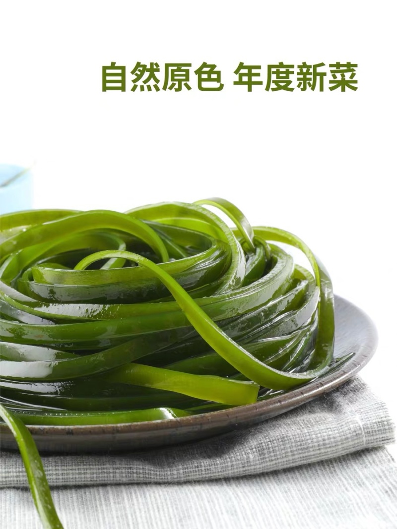 海带之乡霞浦/盐渍海带丝/养殖户直发/商家必备/可定制