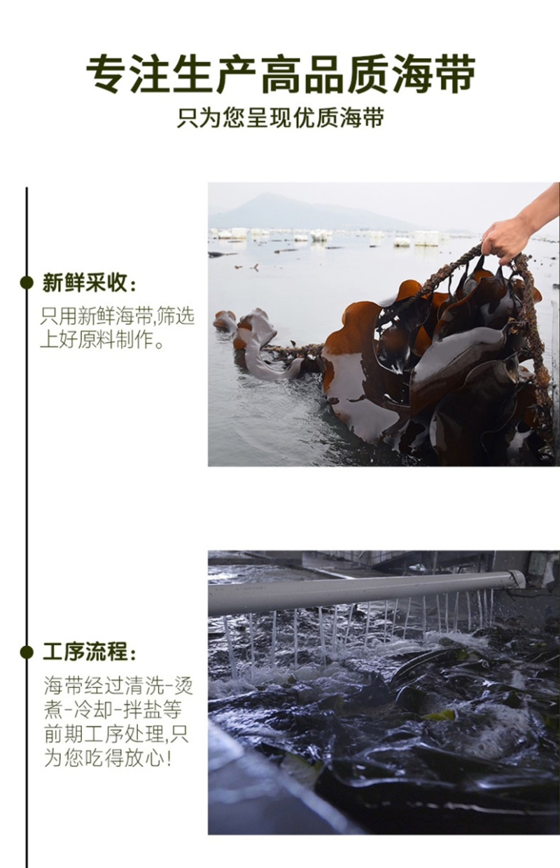 海带之乡霞浦/盐渍海带丝/养殖户直发/商家必备/可定制