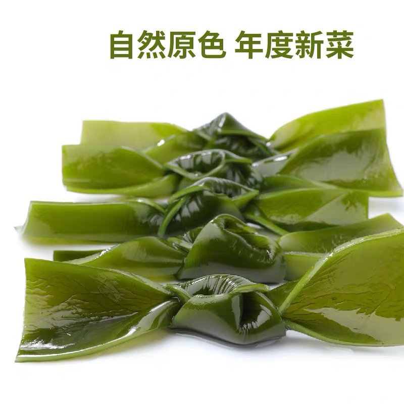 海带之乡福建霞浦/盐渍海带结/高品质可定制/养殖户直发