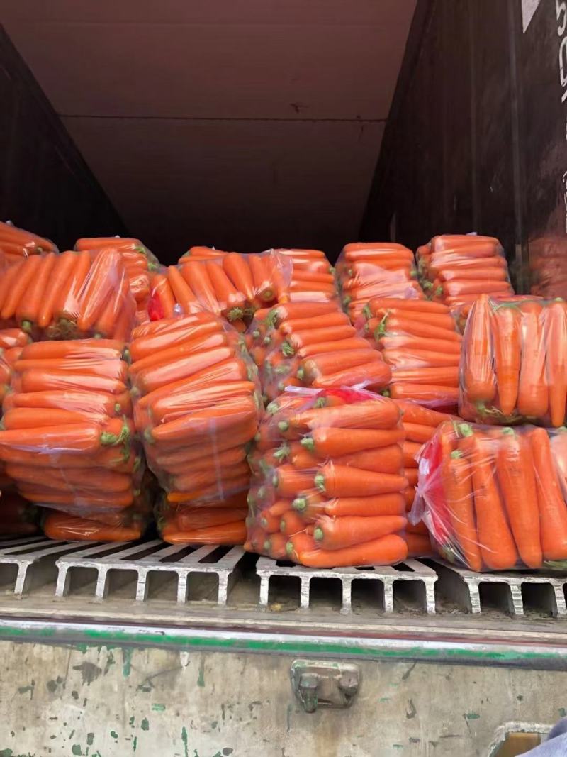 胡萝卜精品水洗大量供应国内出口