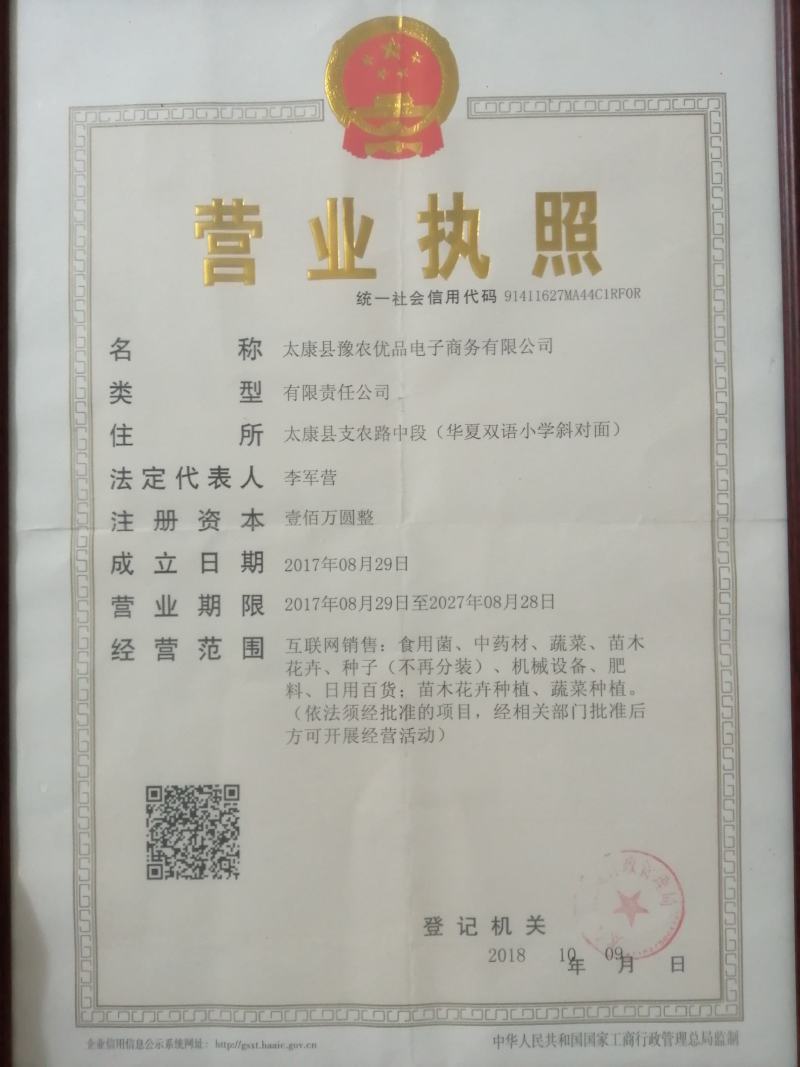 金叶复叶槭14公分量大15公分价格美丽好货不等人