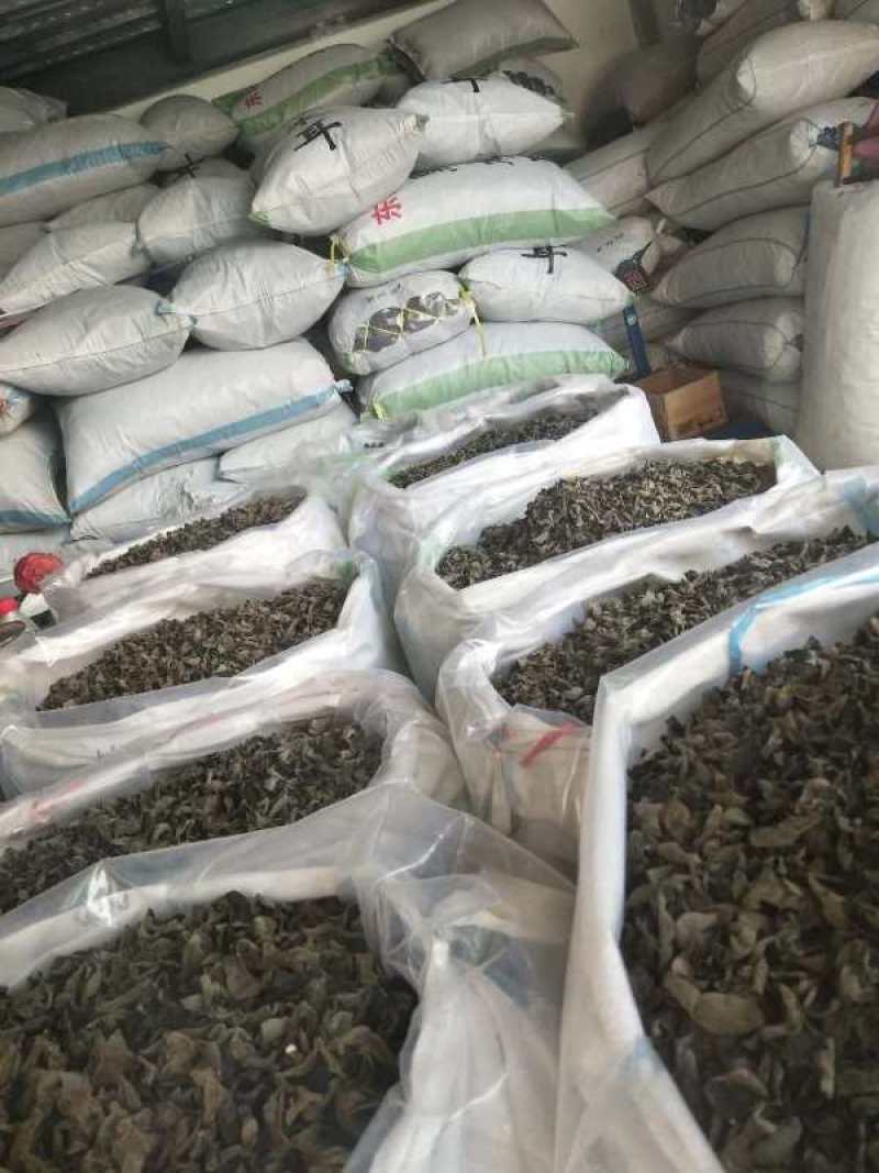 1.8黑木耳身干无杂量大从优支持一件代发
