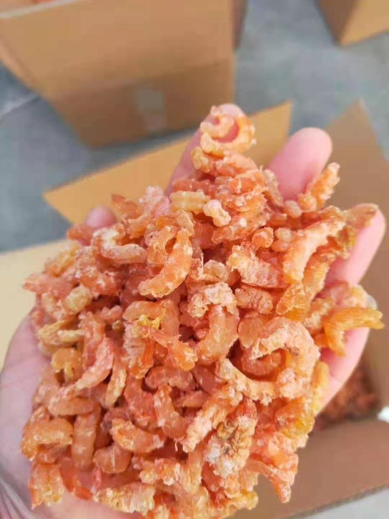 无盐蹦虾，大量有货，干湿都有，价格美丽，欢迎来电