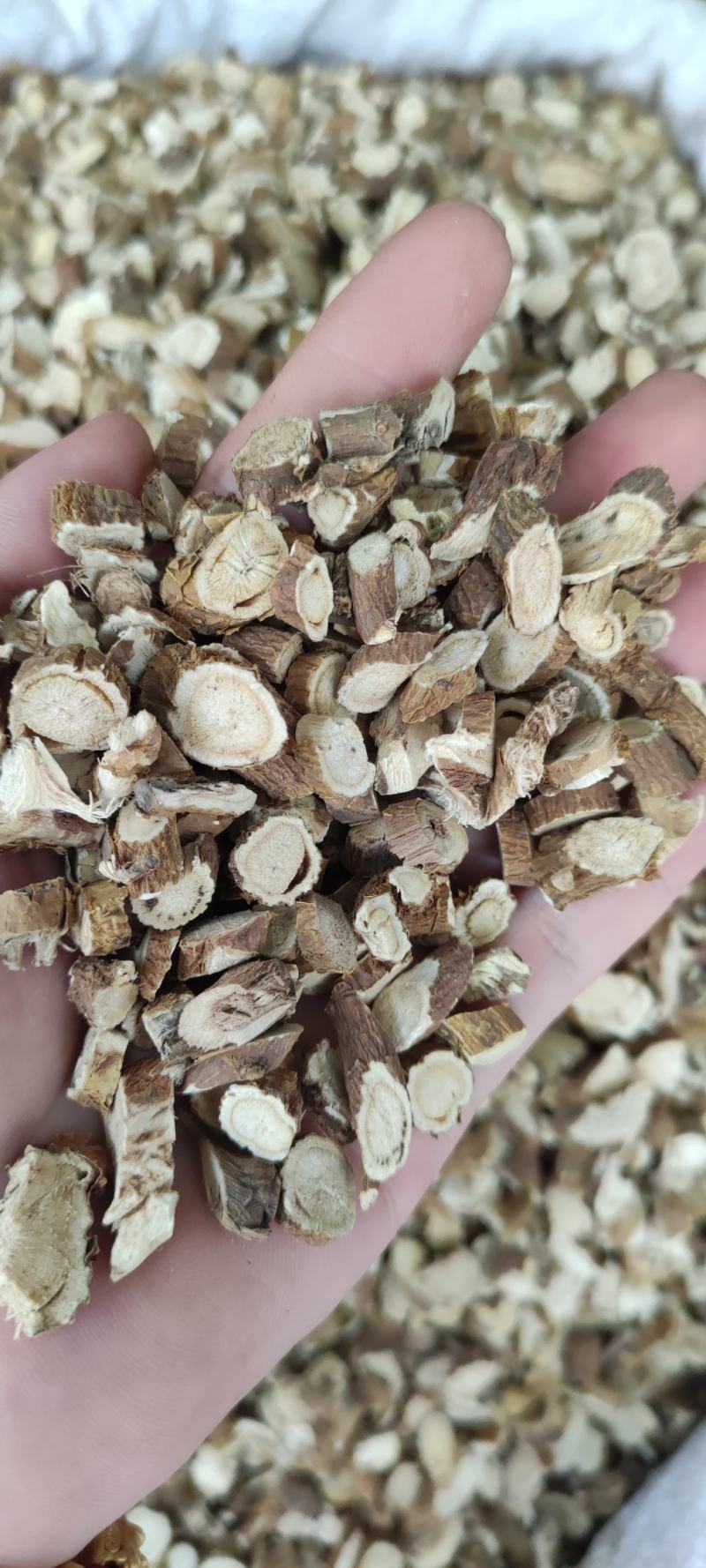 苦参～新货～包含量～量大优惠～小片便宜14元