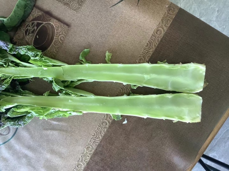 高原夏菜青皮莴笋号上市量大优惠基地直发欢迎考察咨询