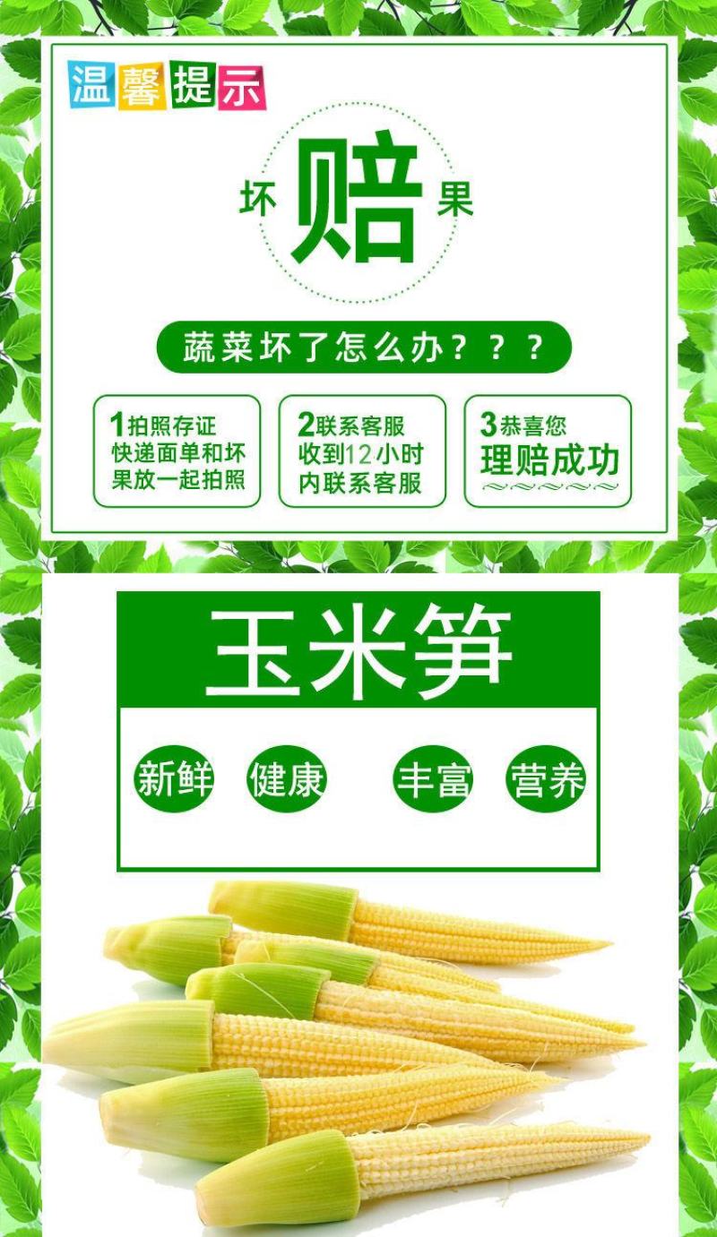 玉米笋迷你小玉米水果玉米无农药现摘l新鲜蔬菜食材包邮