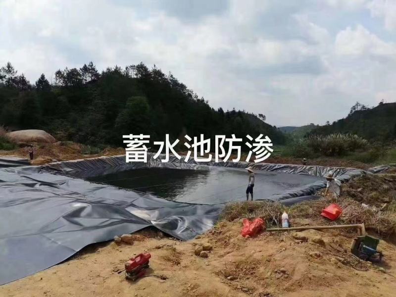 土工膜鱼塘藕池蓄水池养殖防渗膜人工湖土沼气池黑膜垃圾场覆