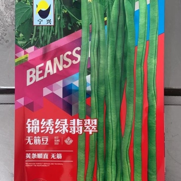 绿翡翠无筋架豆种子条形整齐，夹条顺直，无筋产量高