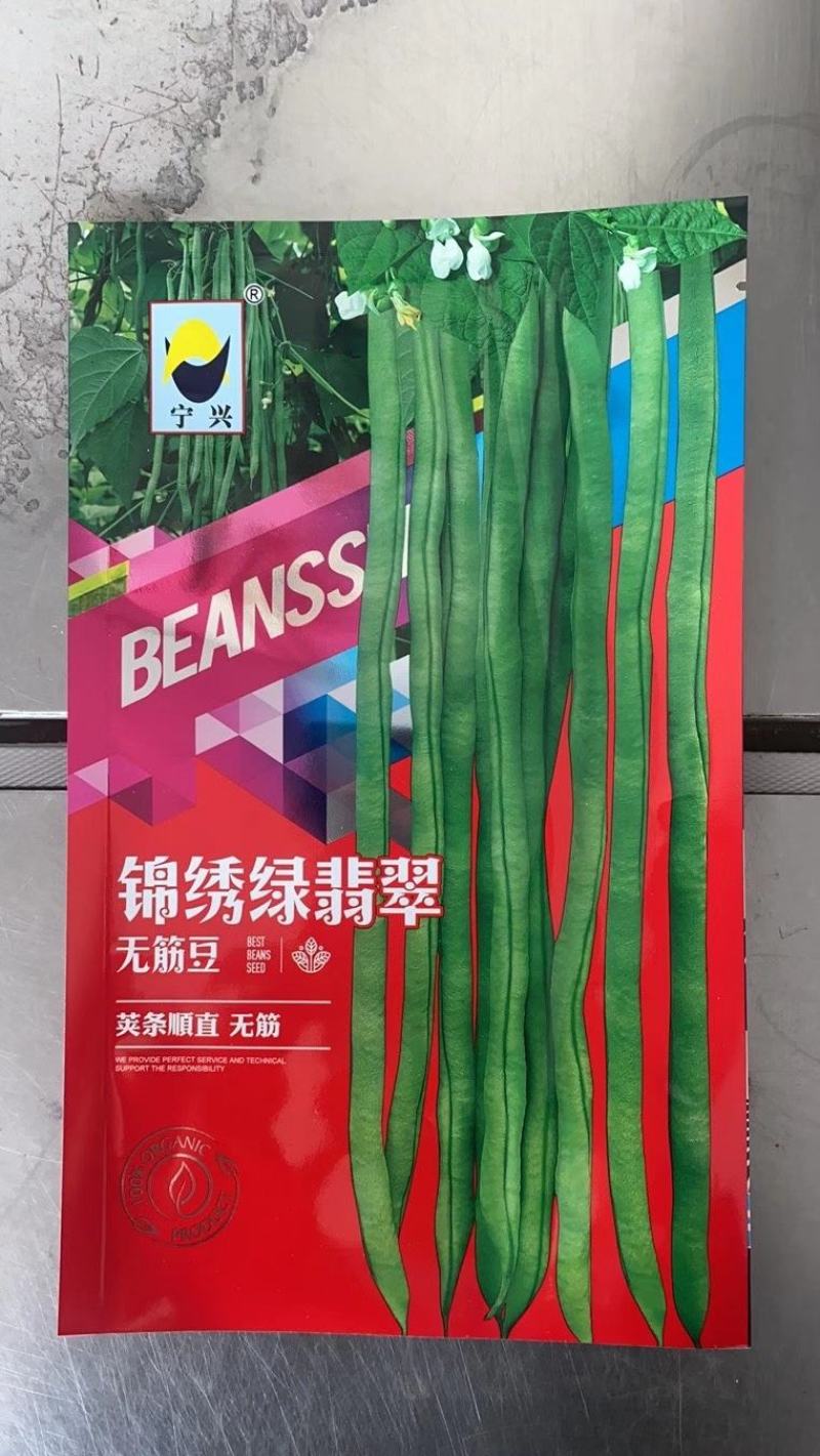 绿翡翠无筋架豆种子条形整齐，夹条顺直，无筋产量高