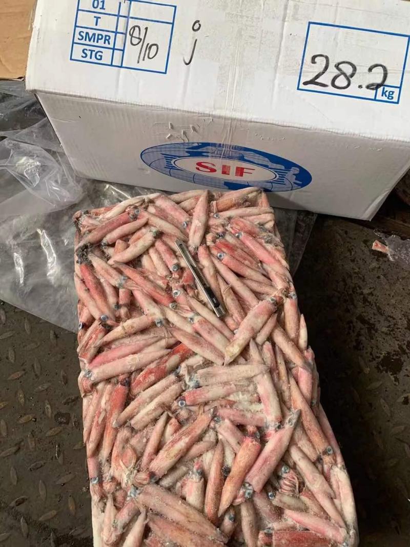 辣椒鱿鱼红管红鱿鱼批发