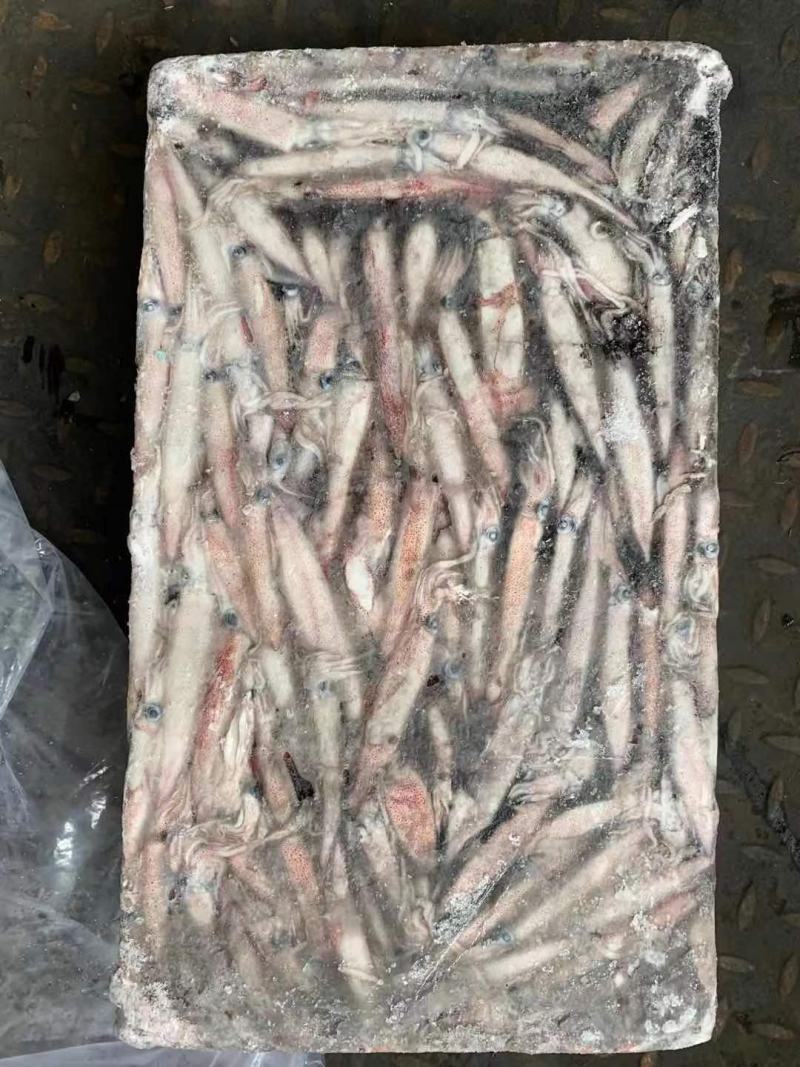 辣椒鱿鱼红管红鱿鱼批发