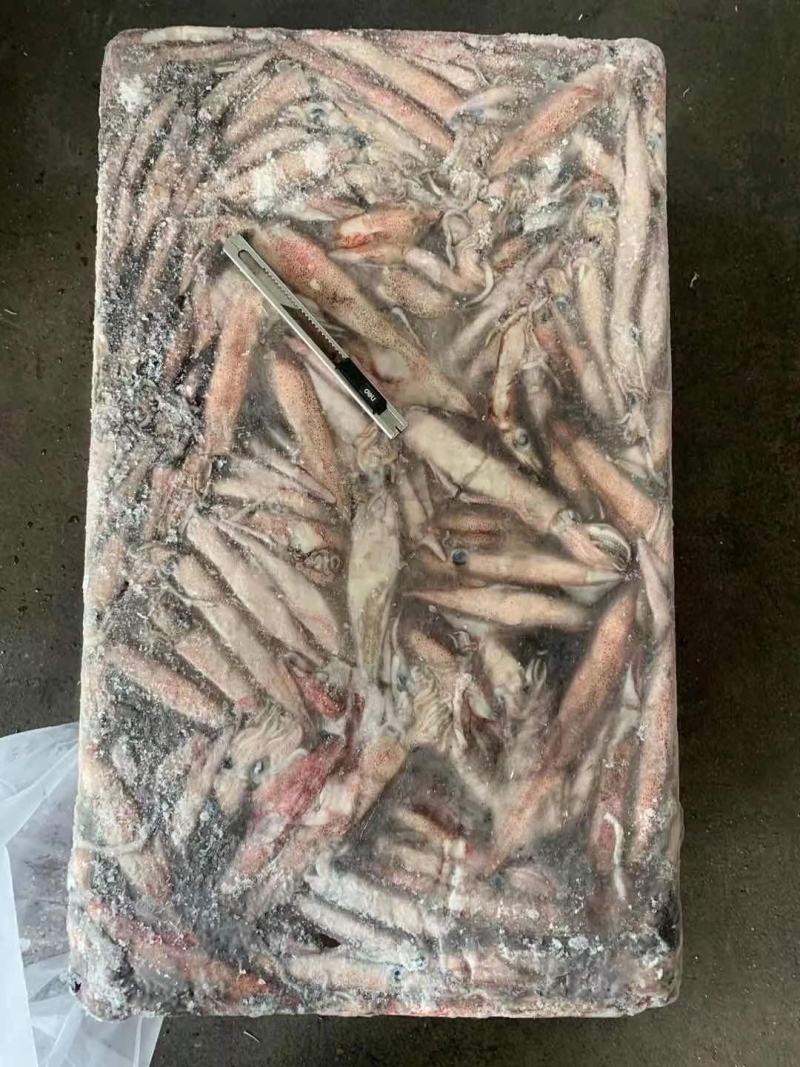 辣椒鱿鱼红管红鱿鱼批发
