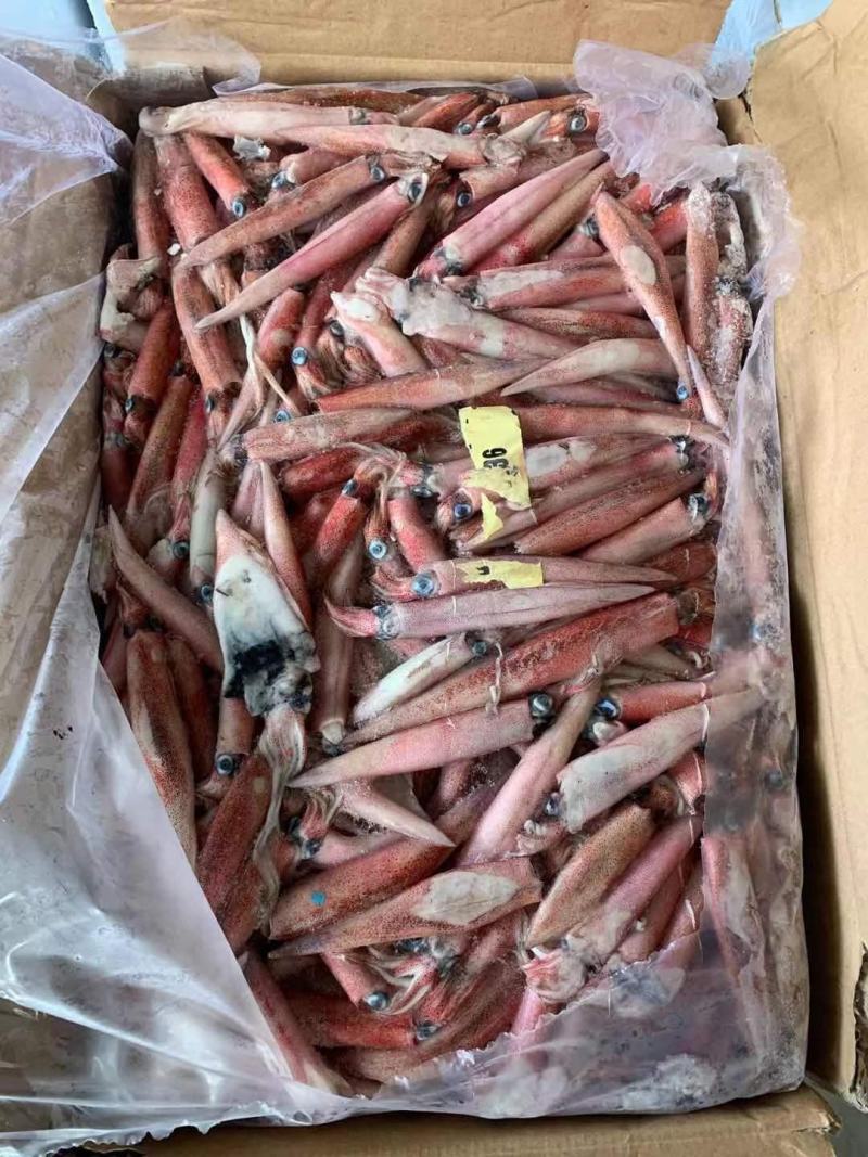 辣椒鱿鱼红管红鱿鱼批发